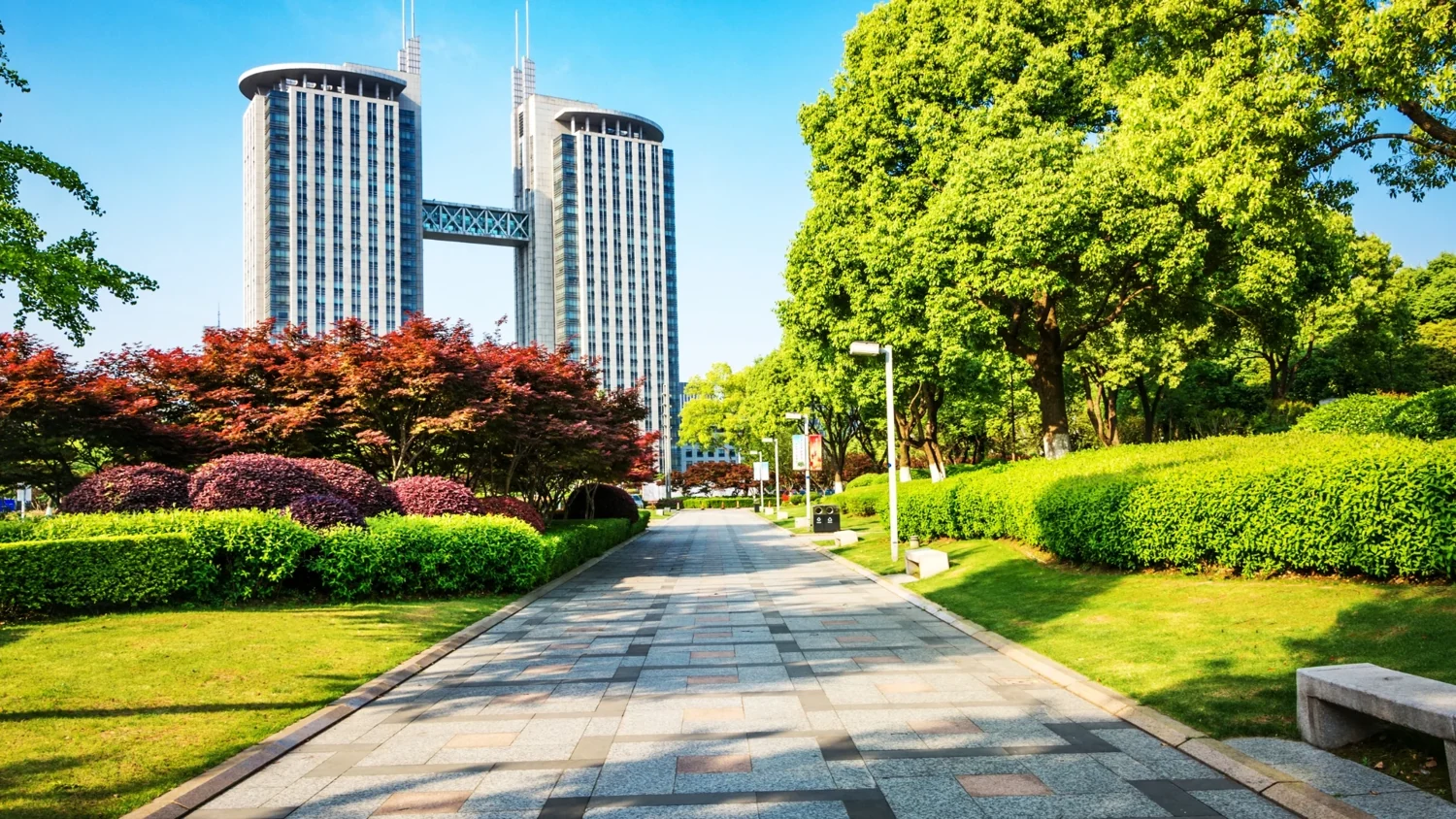 Landscaped walkway beside office towers