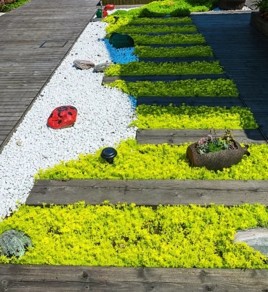 Decorative planting beside outdoor steps