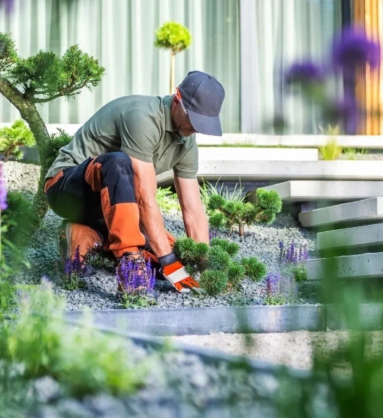 Garden maintenance beside a planted outdoor fence