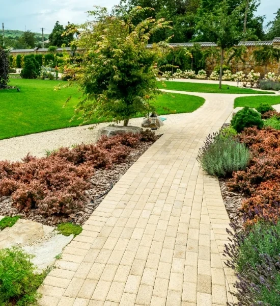 Paved path with planted landscape borders