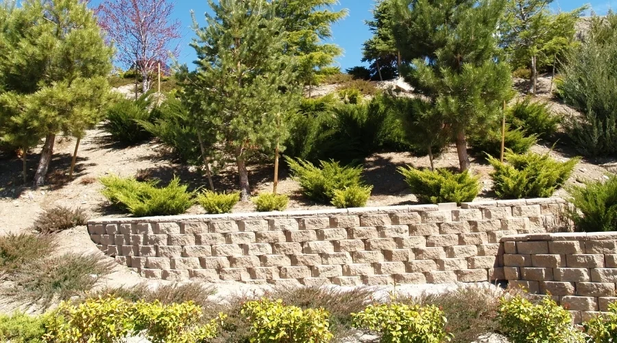 Retaining wall supporting a raised landscape bed