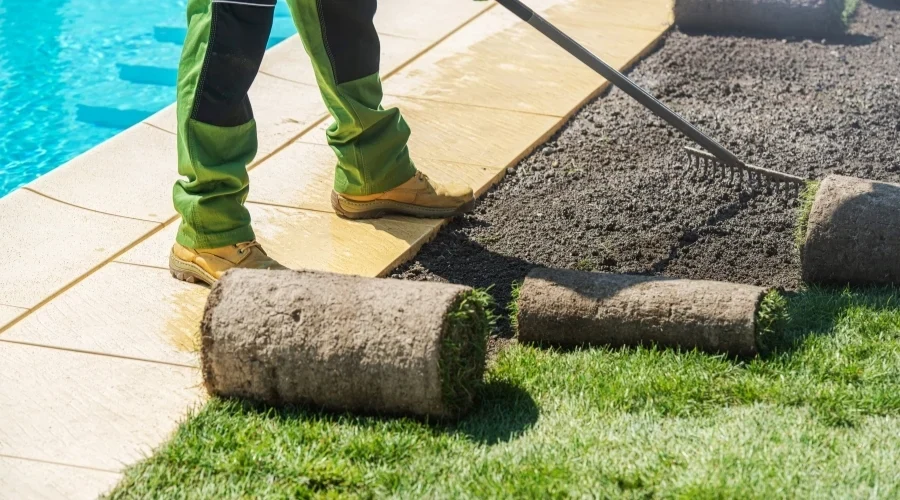 Fresh sod rolls beside a prepared lawn area