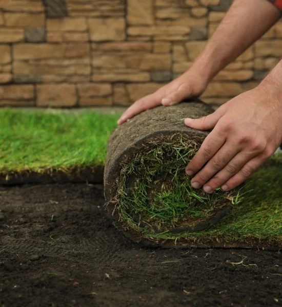 Hands joining freshly installed sod sections