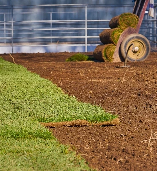 Fresh lawn sod with remaining ground preparation